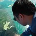 Fish Tank Kings - Gigantische Wasserwelten Thumbnail