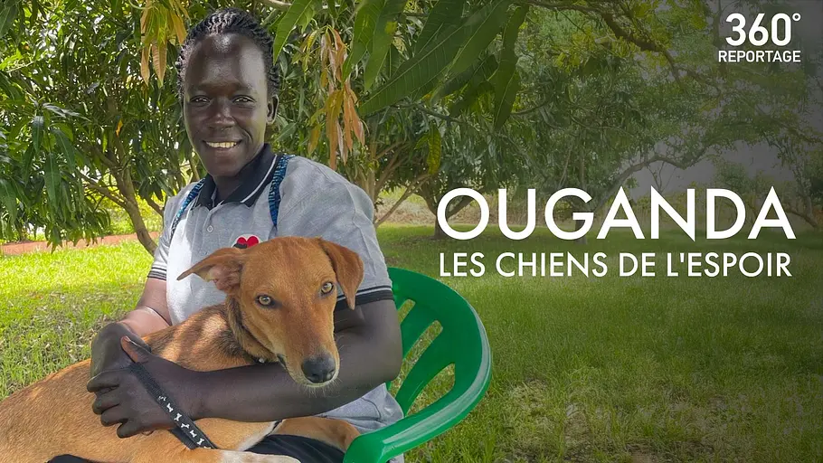 360° Reportage 360° reportage