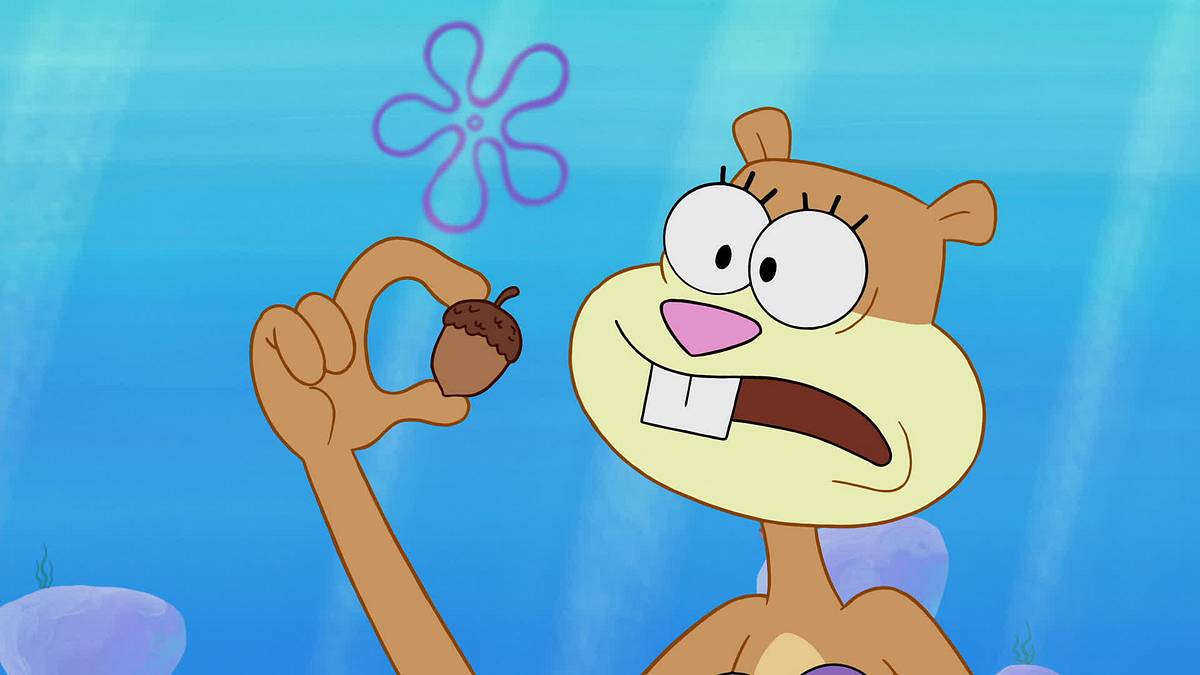 spongebob schwammkopf