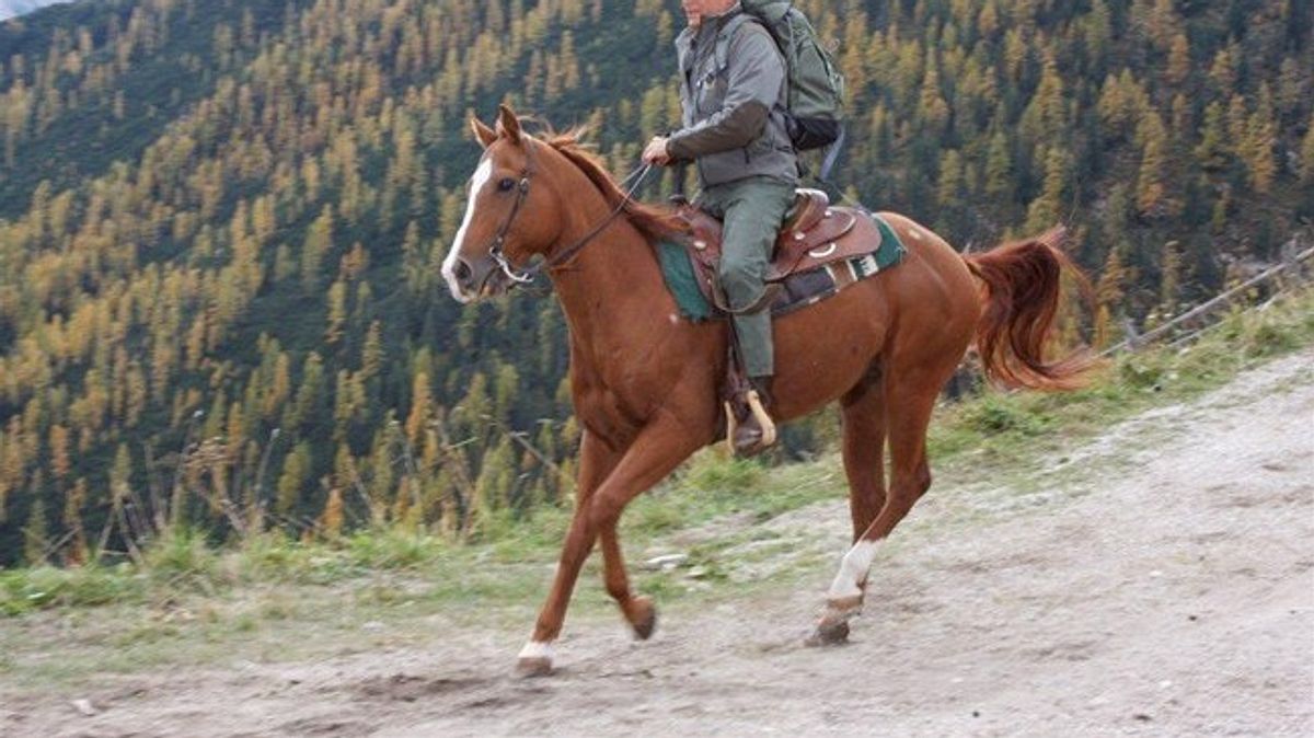 die bergpolizei - ganz nah am himmel