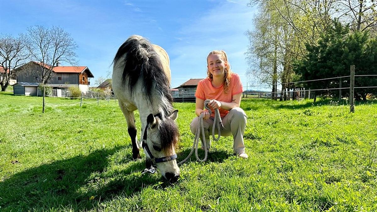 nina und die haustiere