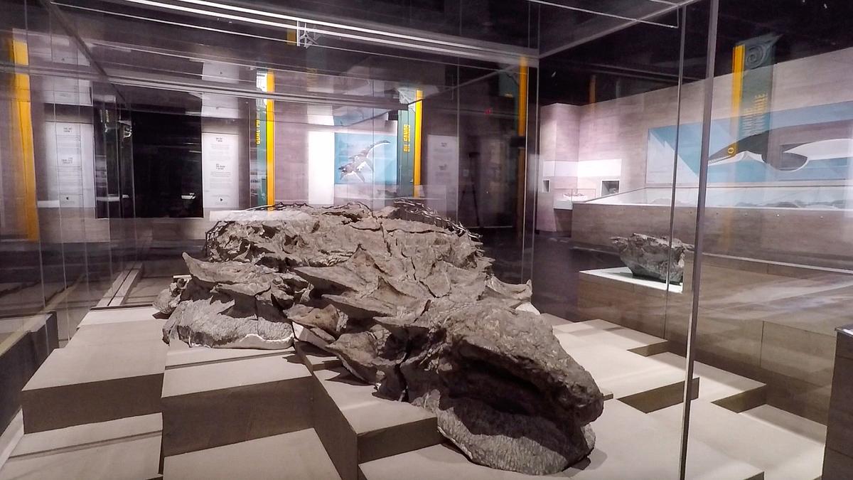 fabelhafte welt der dinosaurier