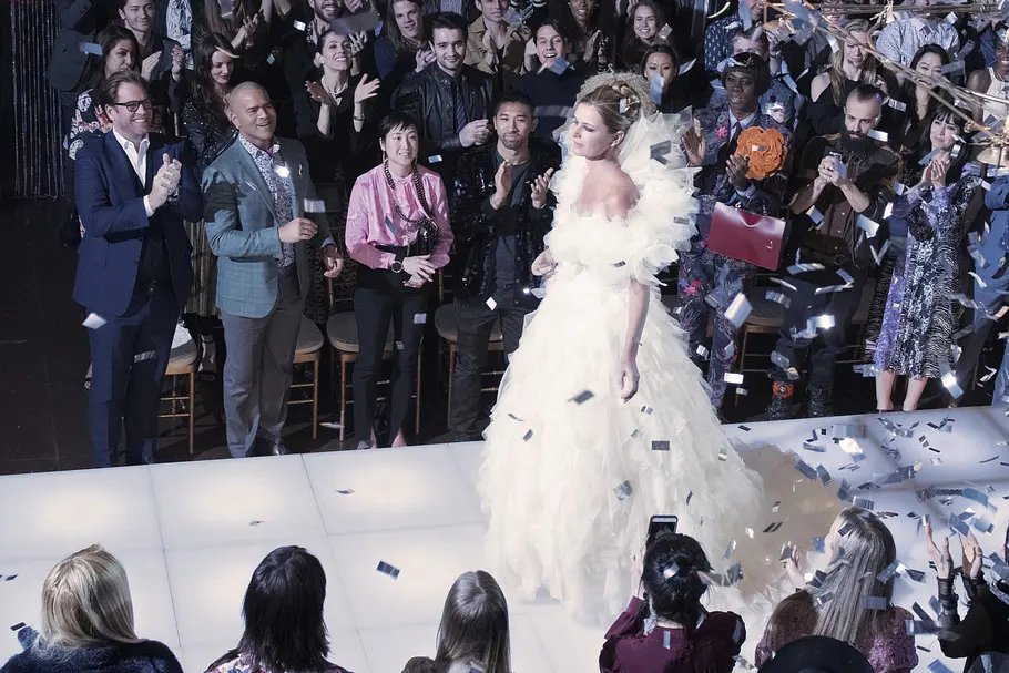 Bull bull