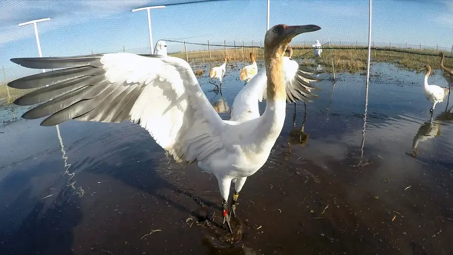 360° reportage