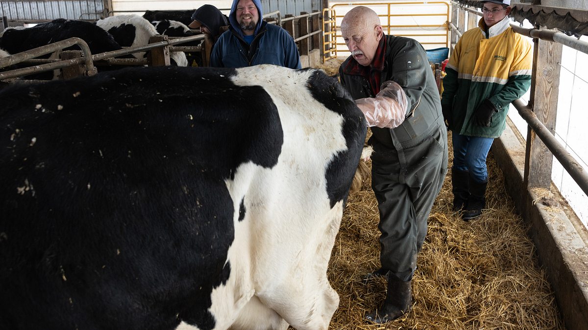 der unglaubliche dr. pol