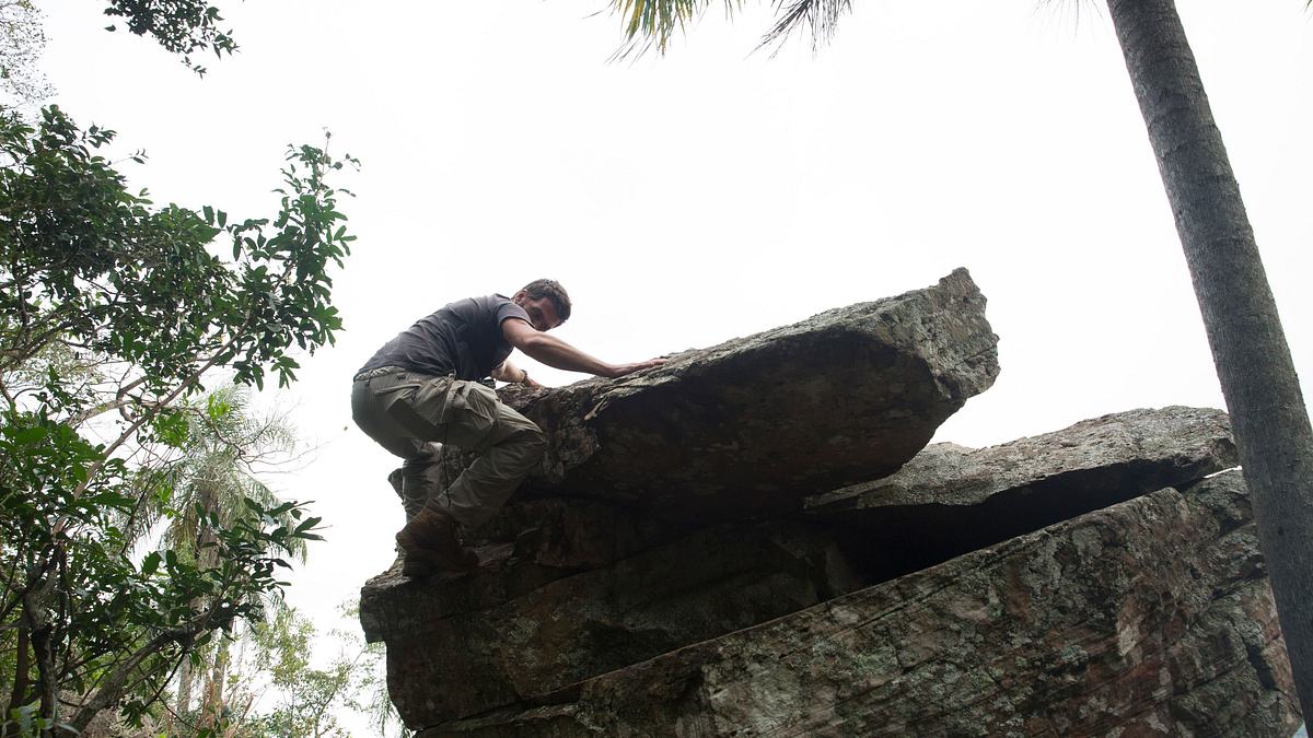 die schatzsucher von snake island