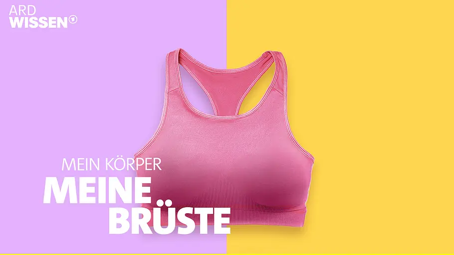 Mein Körper mein körper