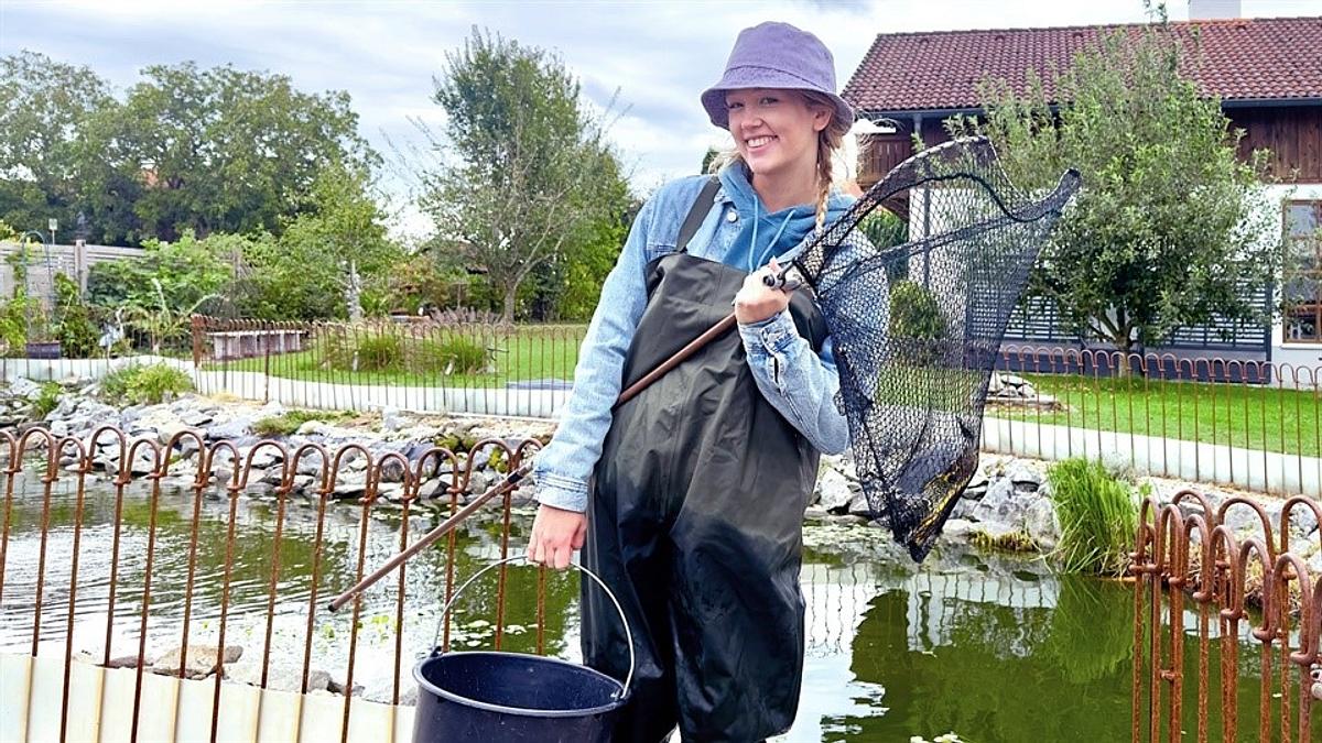 nina und die haustiere