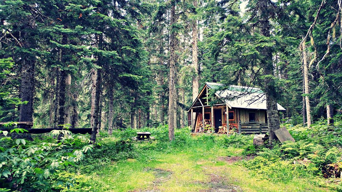 home rescue - wohnen in der wildnis