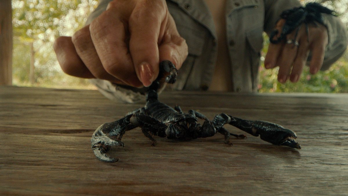 david blaine: nicht nachmachen!