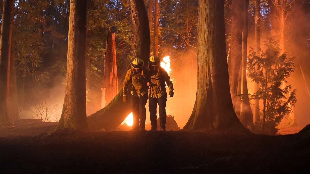 fire country