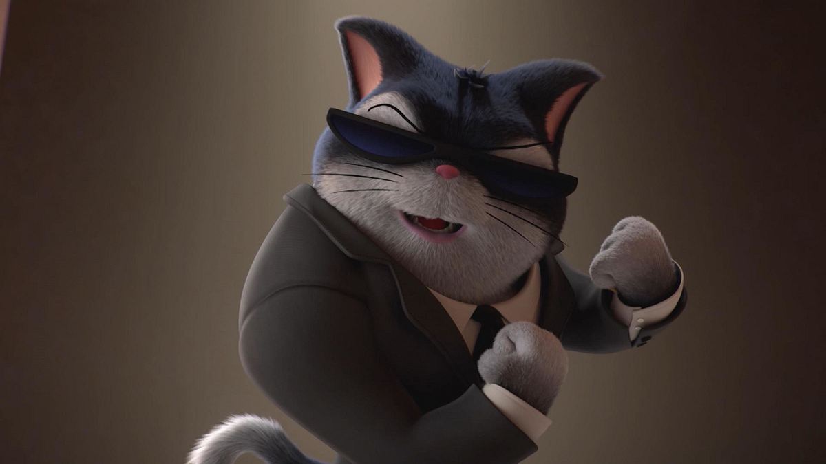 44 Cats 44 cats