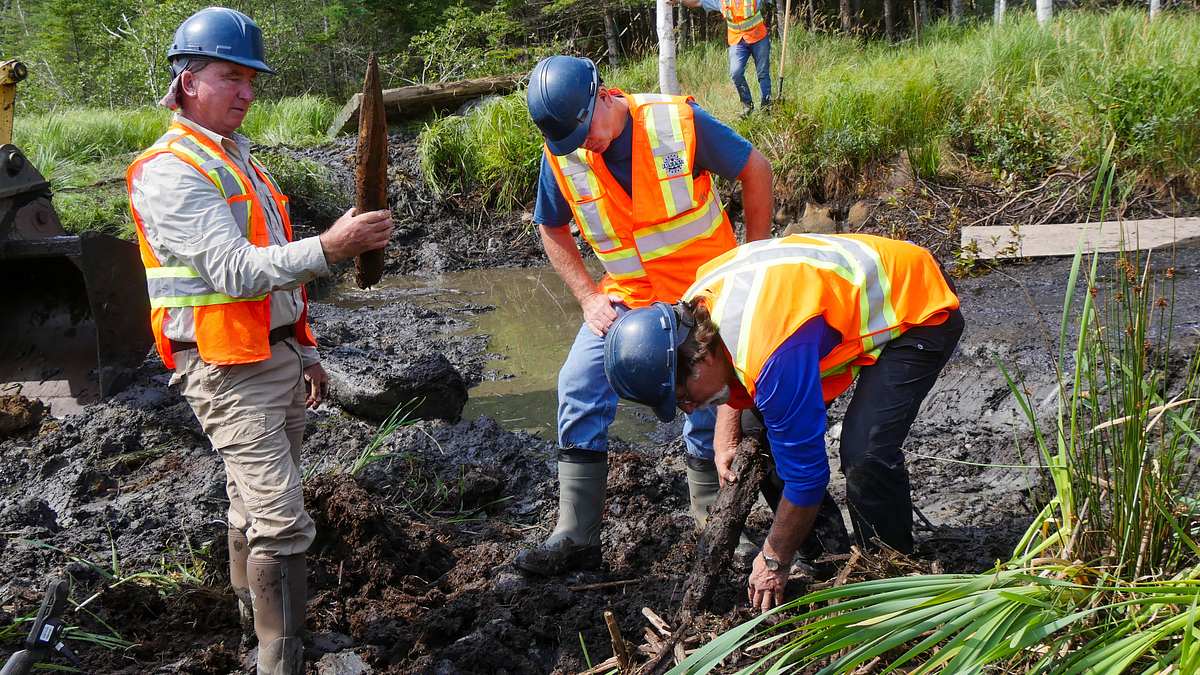 oak island - fluch und legende