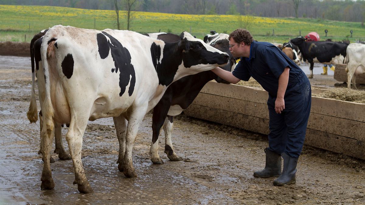 der unglaubliche dr. pol
