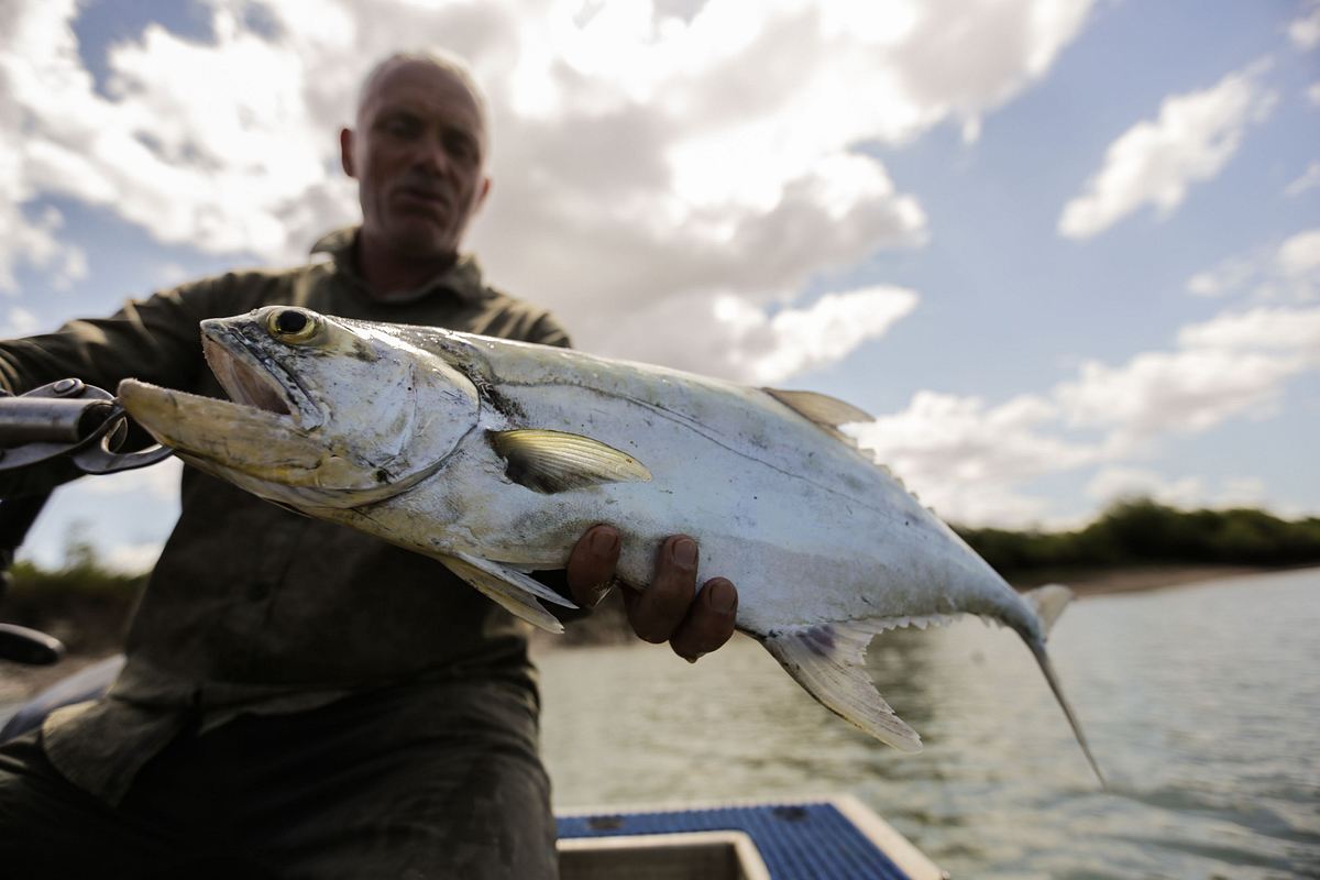 Dark Waters mit Jeremy Wade dark waters mit jeremy wade