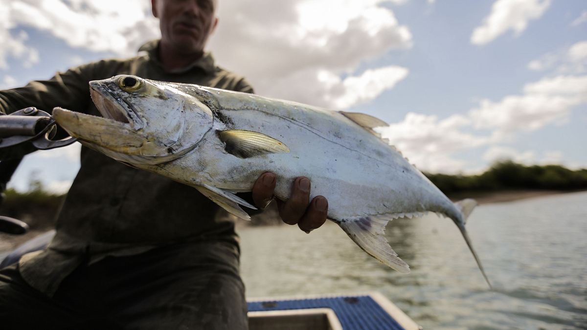 dark waters mit jeremy wade