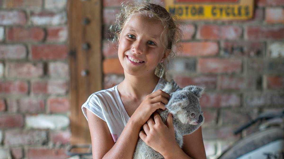 dodo heroes - aus liebe zu tieren