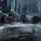 Aftershock Thumbnail