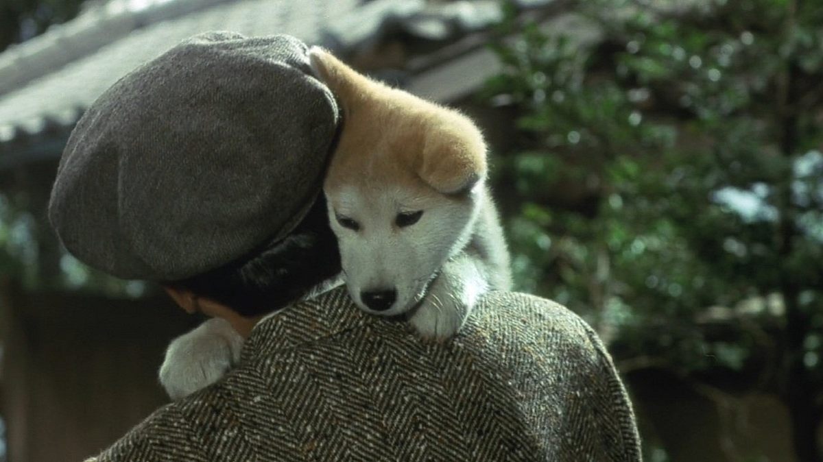 Hachiko - Wahre Freundschaft währt ewig Hachiko - Wahre Freundschaft währt ewig