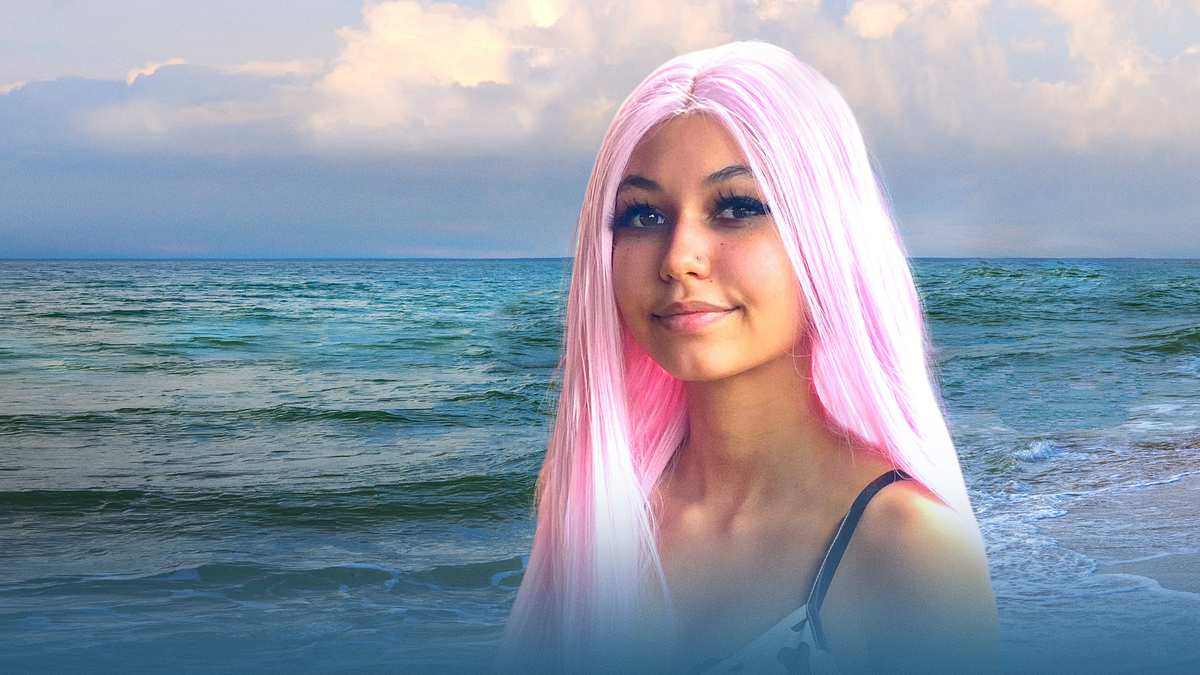 Haiangriff Die Paige-Winter-Story