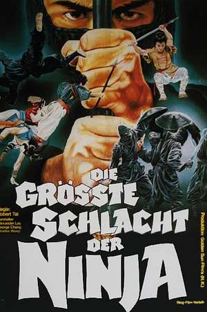 Die größte Schlacht der Ninja - Foto: TMDB