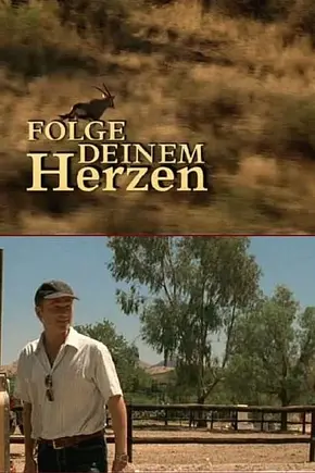 Folge Deinem Herzen - Foto: TMDB Folge Deinem Herzen - Foto: TMDB