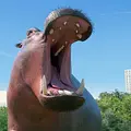 Athleticus Thumbnail