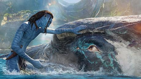 Avatar: The Way of Water - Foto: themoviedb.org