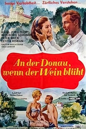 An der Donau, wenn der Wein blüht - Foto: TMDB