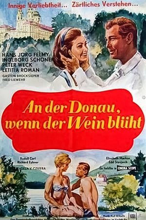 An der Donau, wenn der Wein blüht - Foto: TMDB