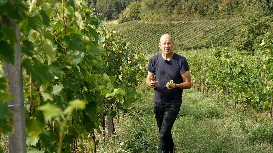 unser österreich