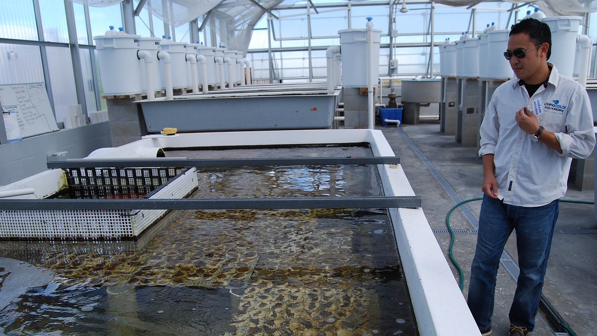 fish tank kings - gigantische wasserwelten