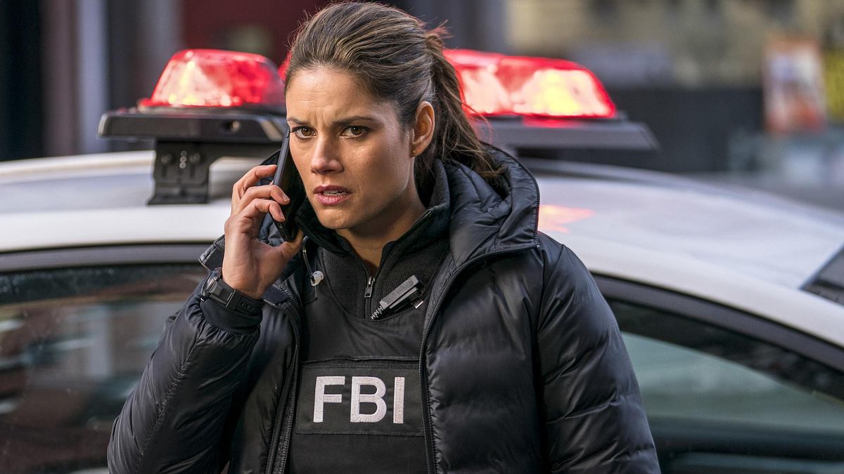 fbi: special crime unit