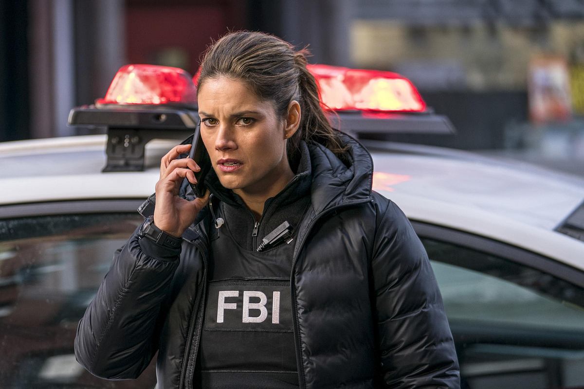 FBI: Special Crime Unit fbi: special crime unit
