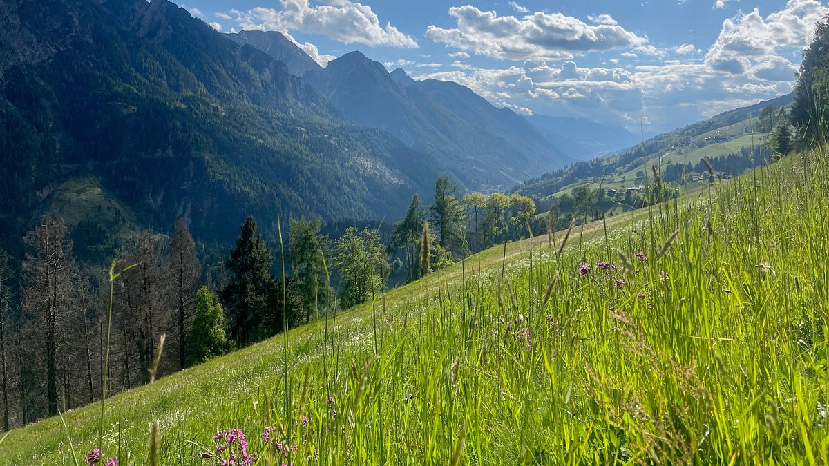 zurück zur natur