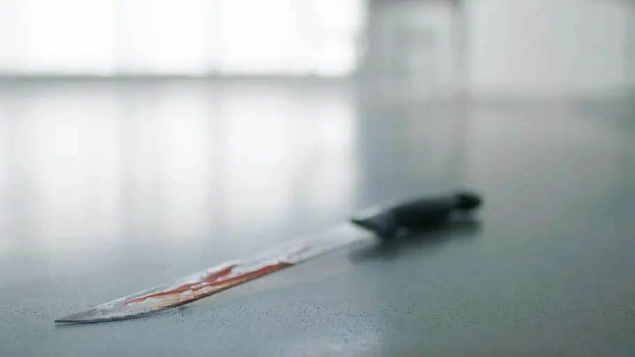 Irrtümer der Forensik irrtümer der forensik