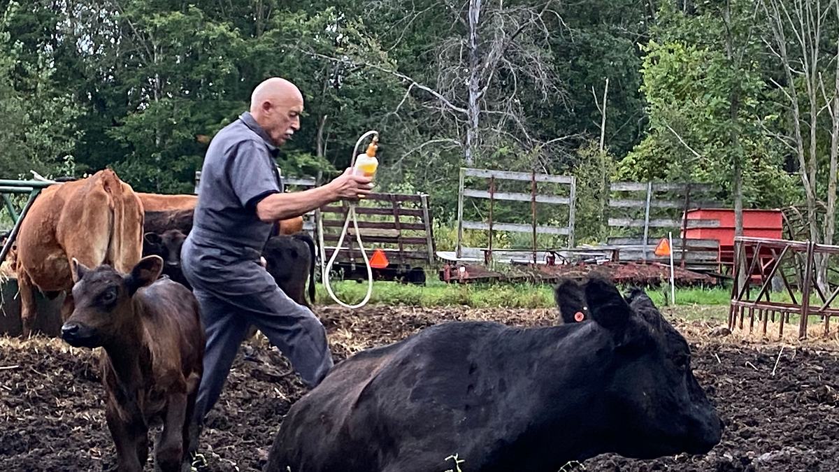 der unglaubliche dr. pol