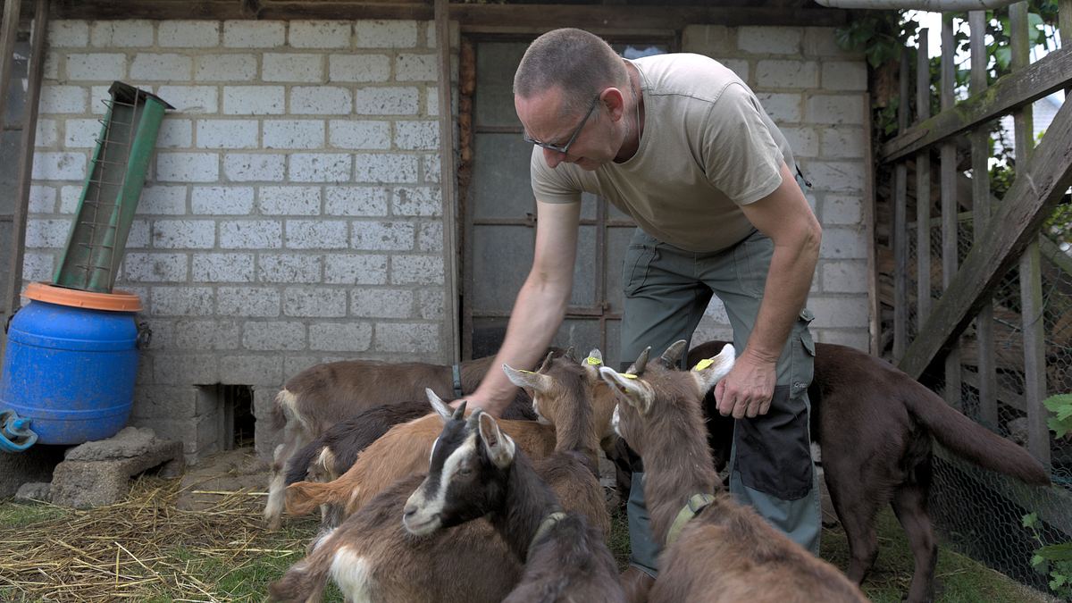 unsere eigene farm - selbstversorgen lernen
