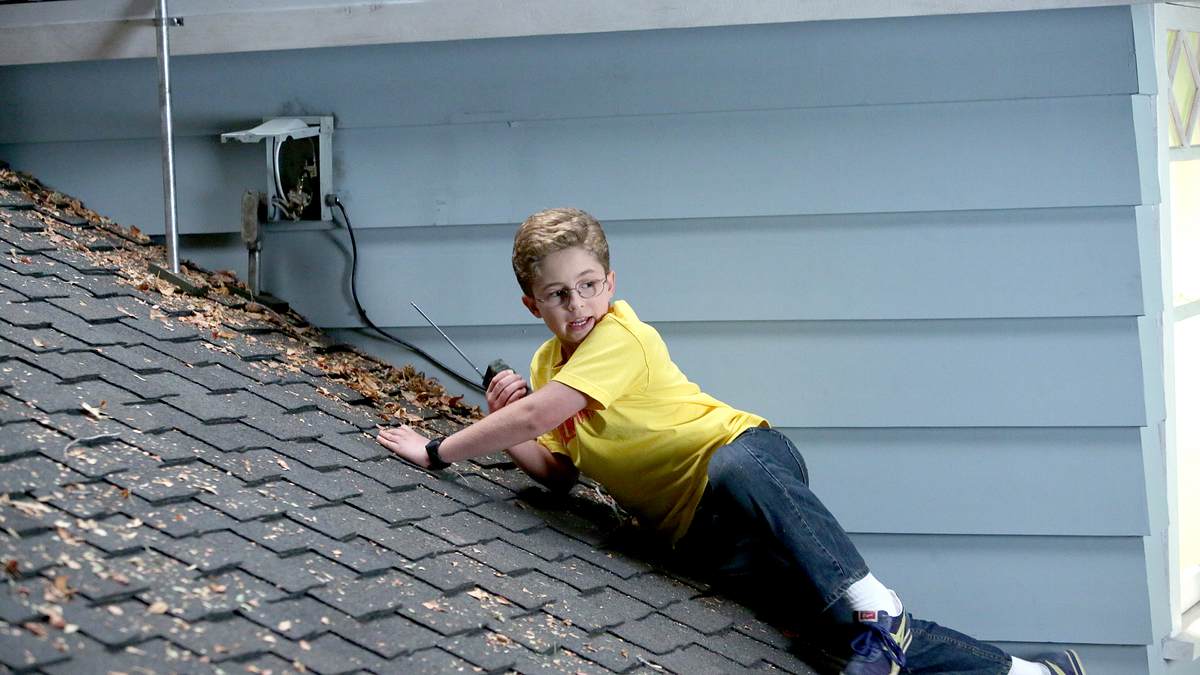 the goldbergs