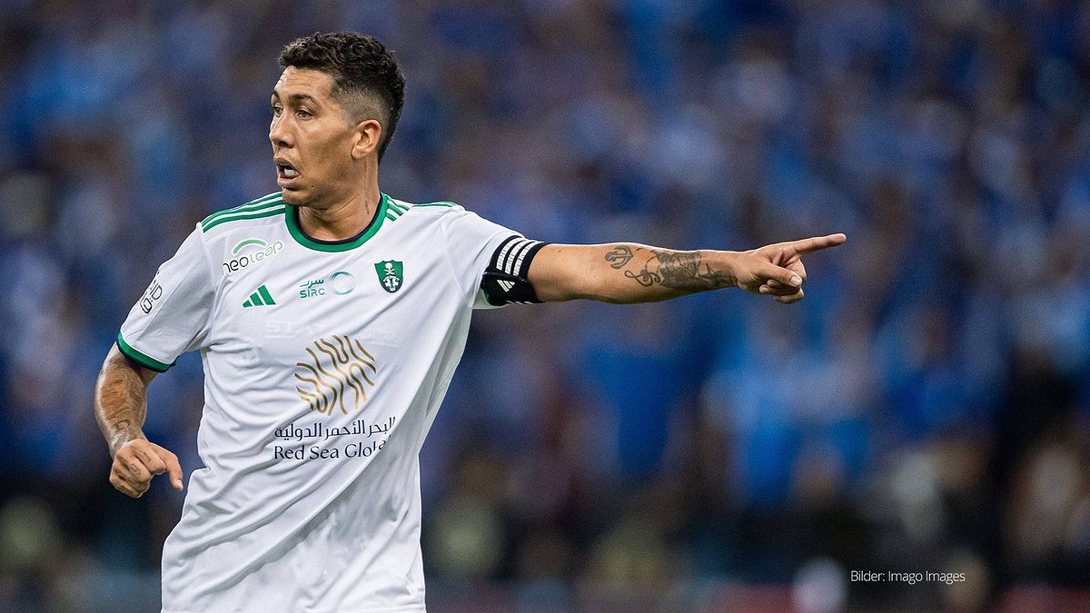 fußball: afc champions league