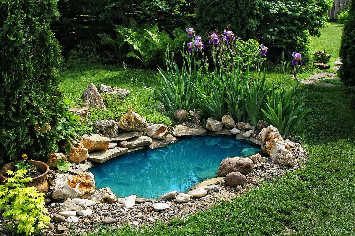 Garden Rescue: Wer rettet meinen Garten? garden rescue: wer rettet meinen garten?