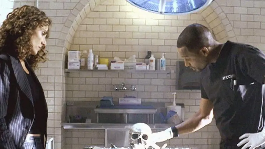 csi: ny