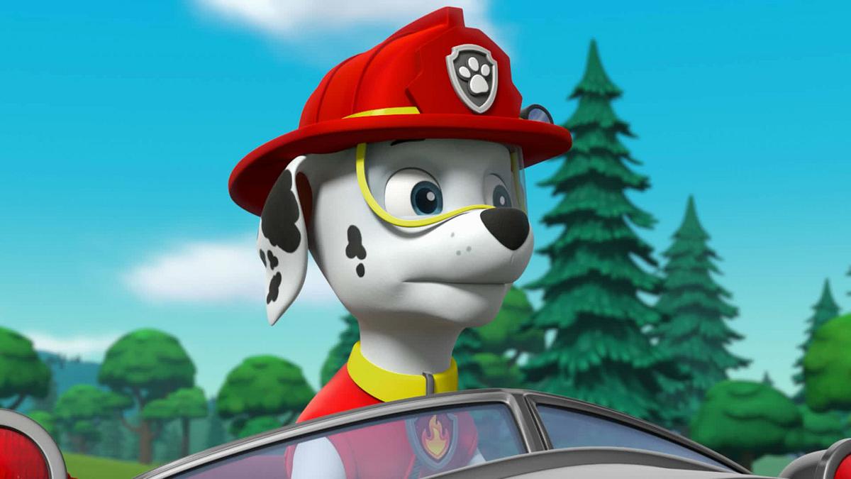 paw patrol - helfer auf vier pfoten
