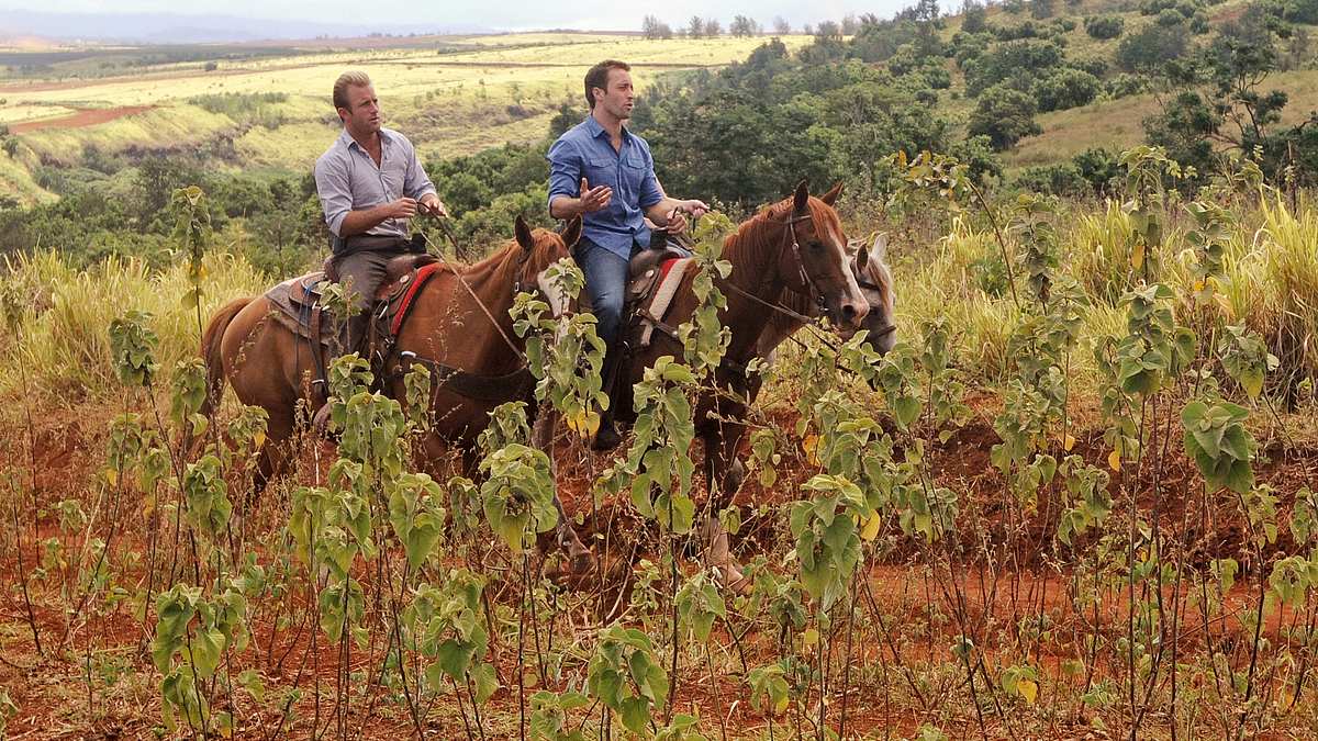 hawaii five-0