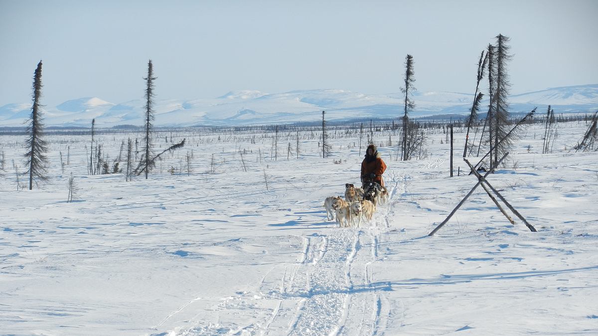 yukon men
