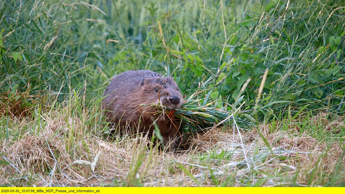 abenteuer wildnis