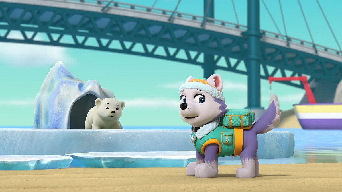 Paw Patrol - Helfer auf vier Pfoten paw patrol - helfer auf vier pfoten
