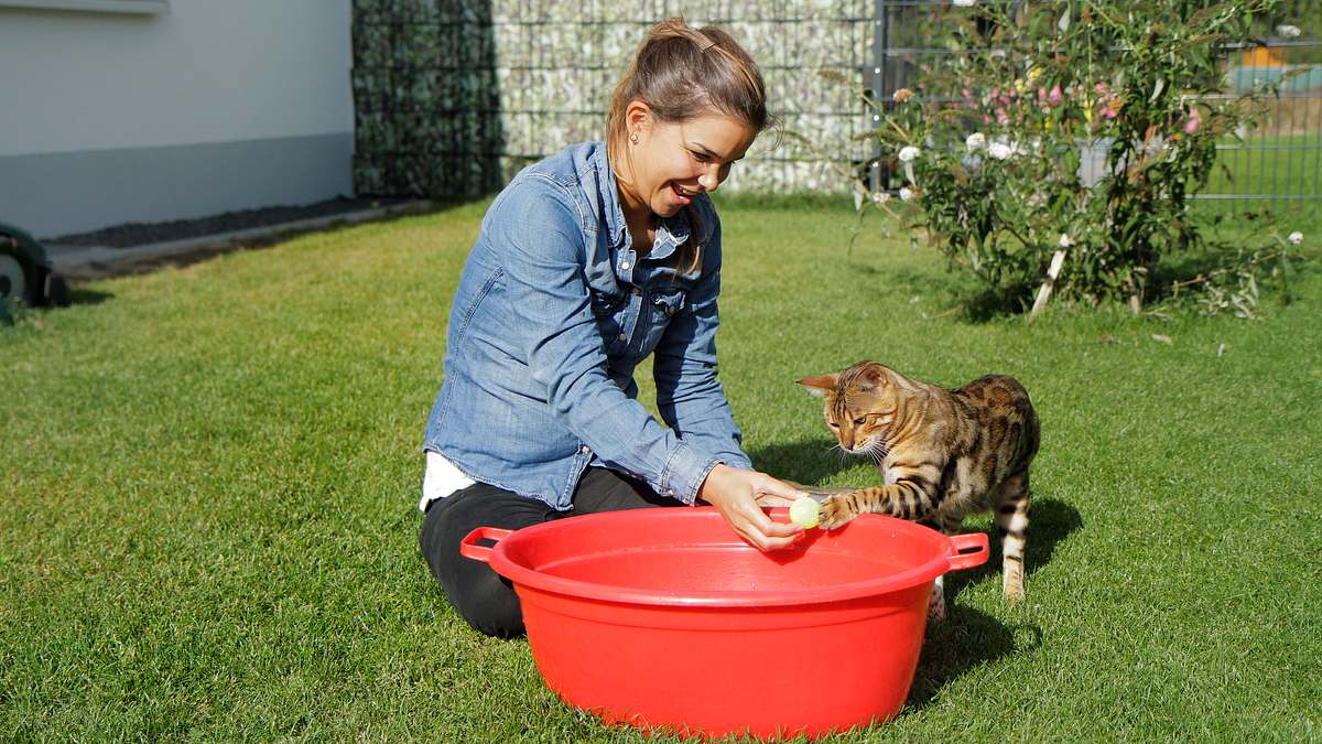 anna und die haustiere