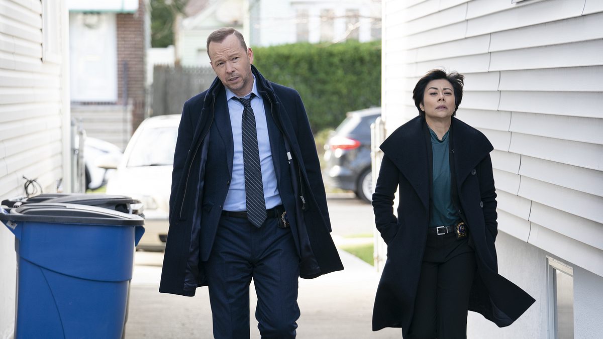 blue bloods - crime scene new york