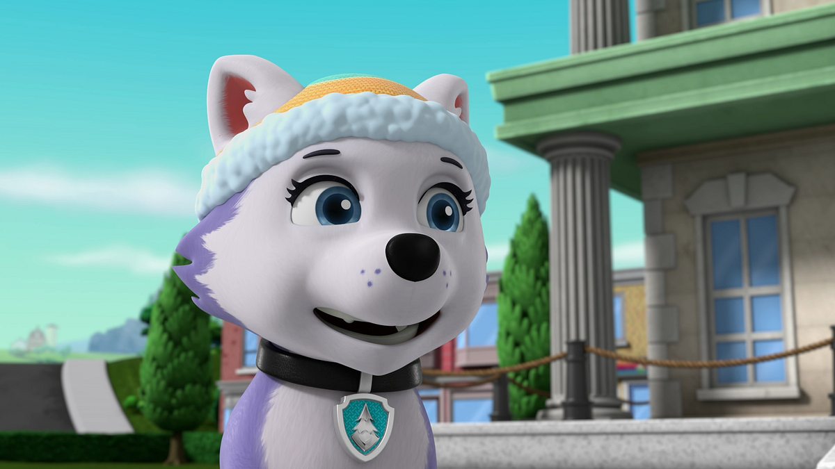 paw patrol - helfer auf vier pfoten
